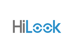 HILOOK alarm