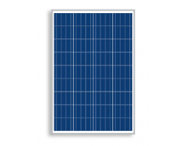 PERLIGHT PLM-100P36 POLIKRISTALNI SOLARNI PANEL
